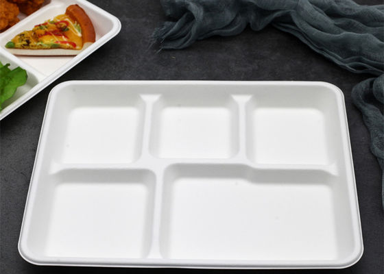 School Disposable Biodegradable Bagasse Tableware 6 5 3 Compartment Lunch Tray