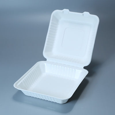 8in 9in Biodegradable Sugarcane Bagasse Clamshell Freezable Fast Food Container Tableware