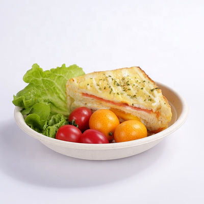 120 độ Kháng dầu Biodegradable Canh đường Bagasse đĩa mang theo bát với nắp
