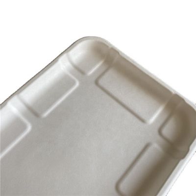Fruit Sugarcane Bagasse Pulp Weddings Vegetable Disposable Meat Microwave Safe Tray