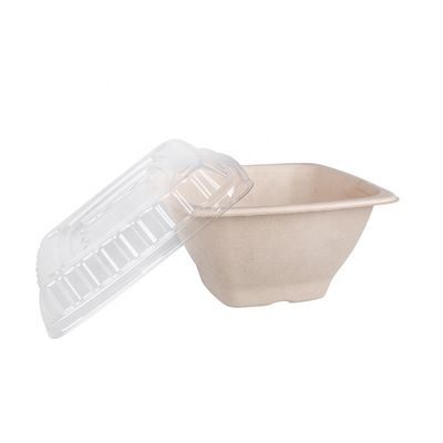 16 24 32oz Canh đường phân hủy sinh học Bagasse Bowl Fruit Salad Container Box With Cover