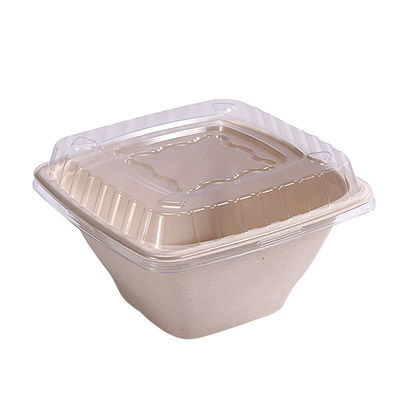 16 24 32oz Canh đường phân hủy sinh học Bagasse Bowl Fruit Salad Container Box With Cover