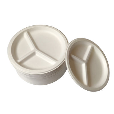 Green 100% Biodegradable Compostable Party Tableware Eco Friendly Disposable Plates